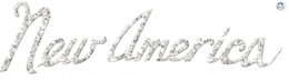New America Brand logo